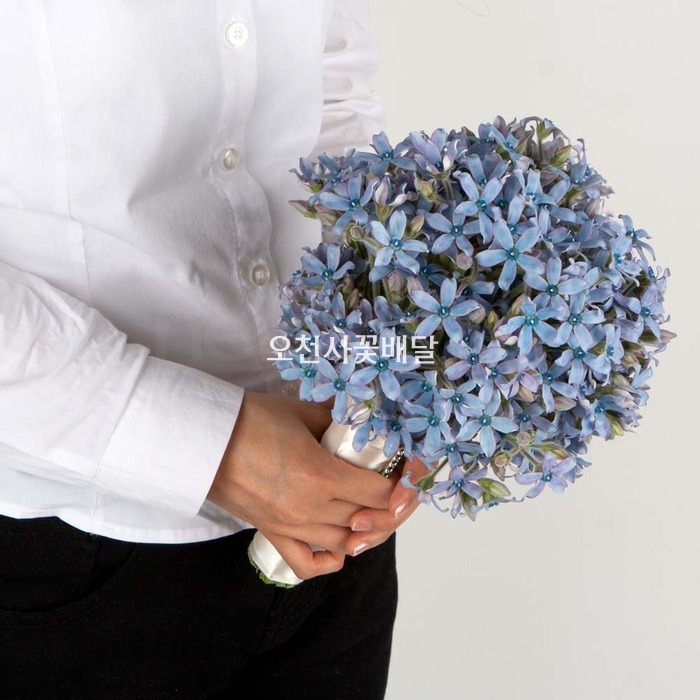 상세이미지