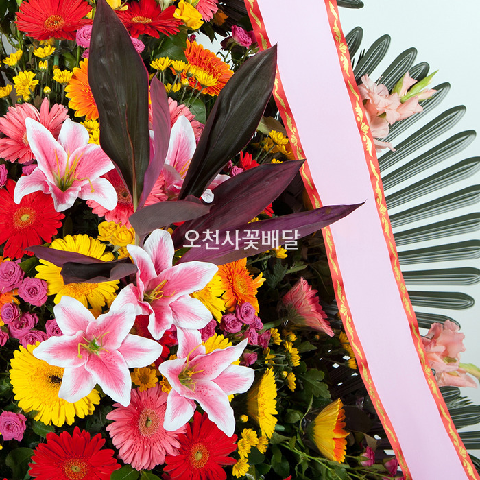 상세이미지
